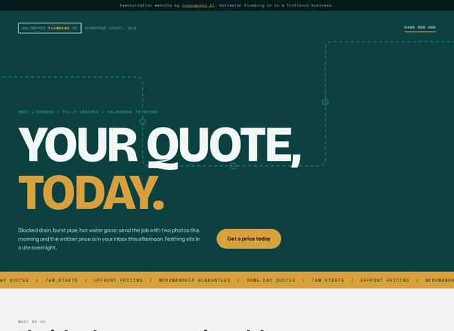 Saltwater Plumbing Co demonstration website